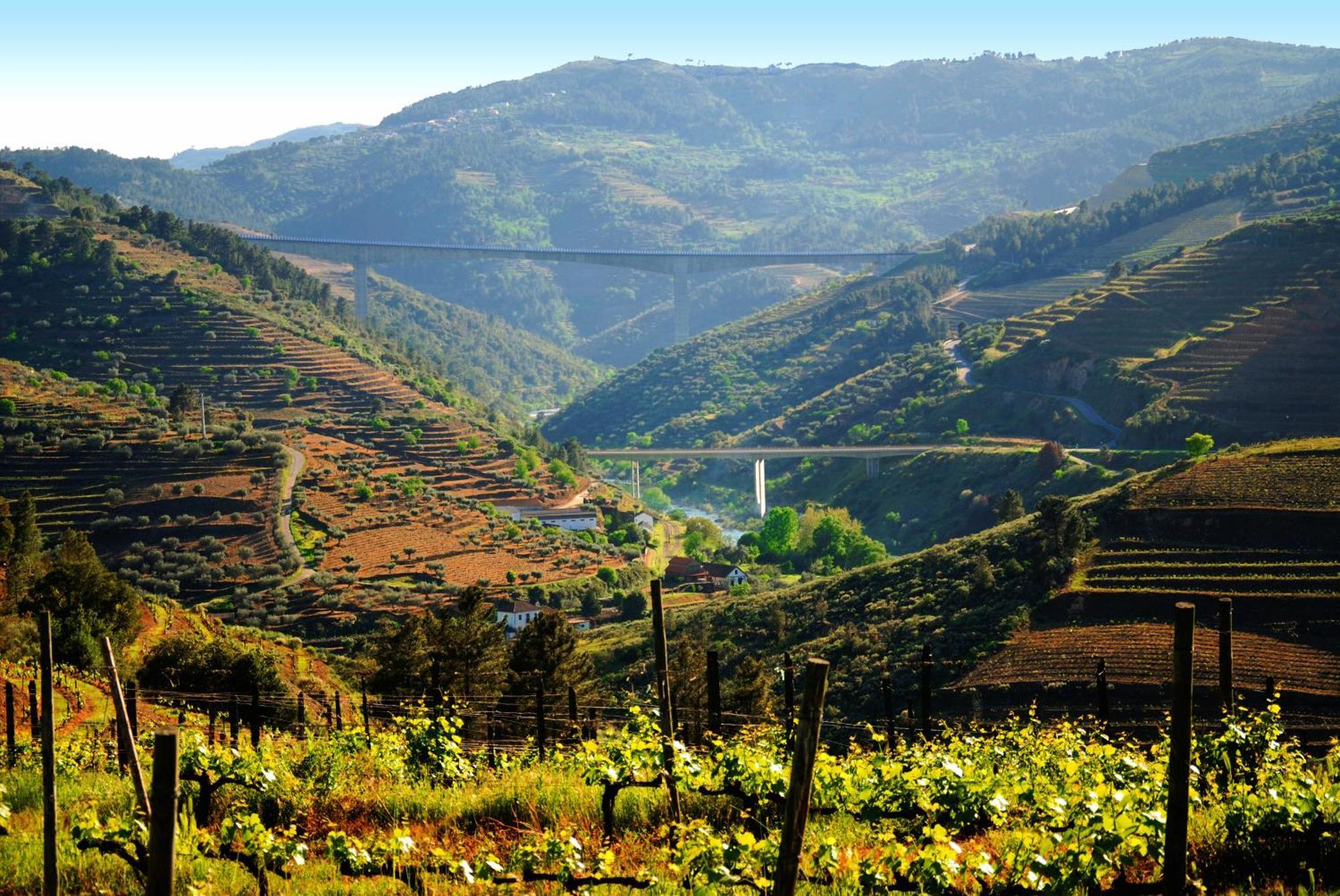 Casa Oliveiras Do Douro Villa Sobreira Exteriör bild