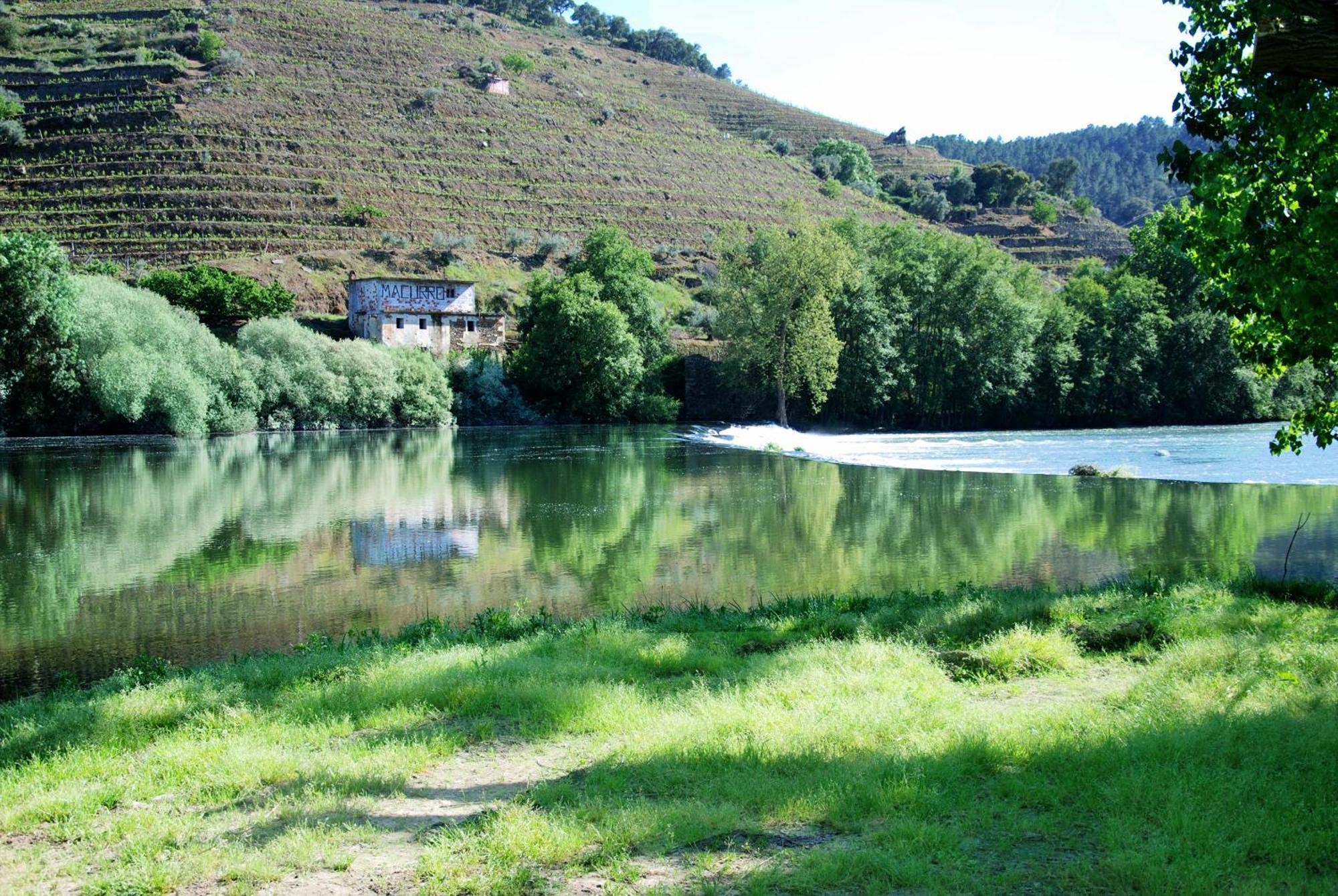 Casa Oliveiras Do Douro Villa Sobreira Exteriör bild