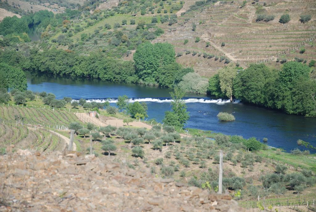 Casa Oliveiras Do Douro Villa Sobreira Exteriör bild